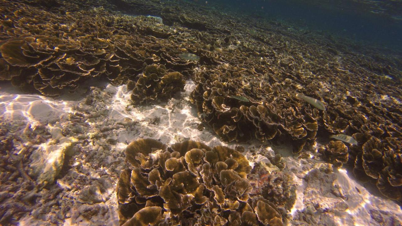 Kaafu Inn Guraidhoo Exteriör bild