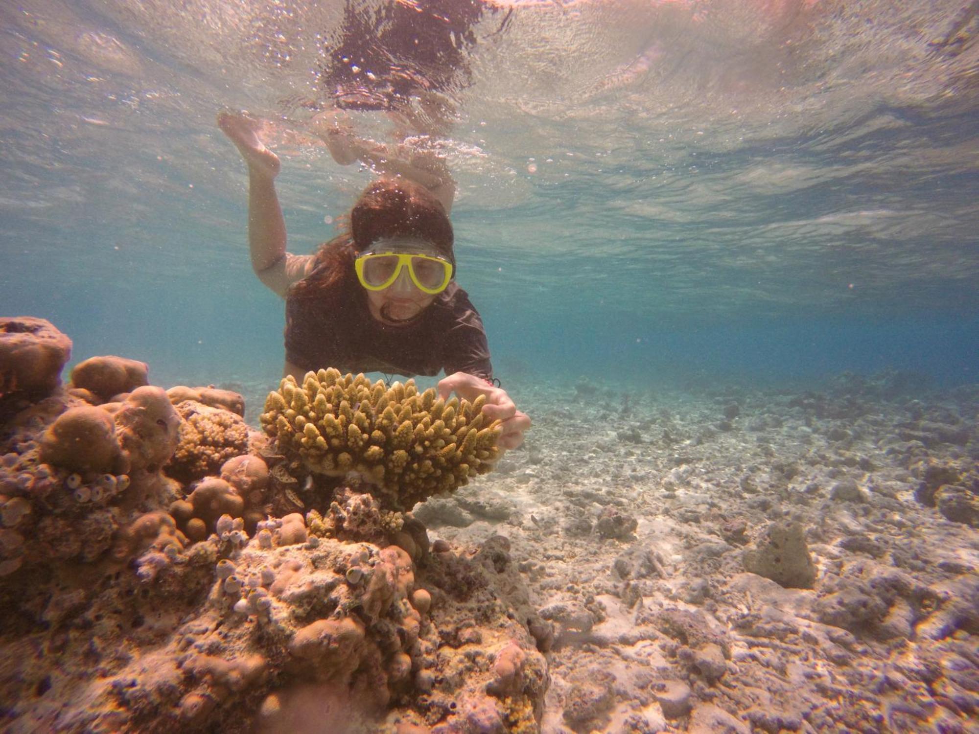 Kaafu Inn Guraidhoo Exteriör bild