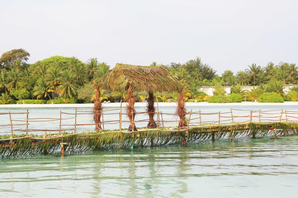 Kaafu Inn Guraidhoo Exteriör bild